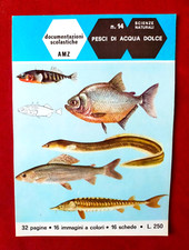 PESCI DI ACQUA DOLCE - DOCUMENTAZIONI SCOLASTICHE AMZ n° 14 anno 1966