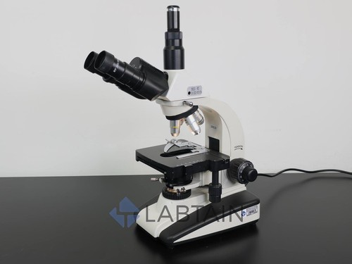 Microscopio campo luminoso - microscopio,