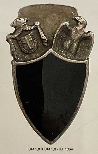 Mvsn regio esercito - mvsn, cc.nn.