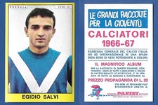 FIGURINA CALCIATORI PANINI