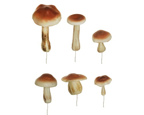 Funghi real touch assortiti - funghi,