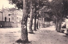 SPILIMBERGO: Viale Vittorio