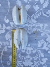 Isolatori 2 Elettrico Ceramica