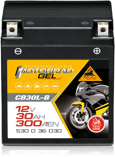 Batteria moto panther 53036 - moto,