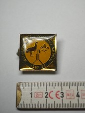 Spilla smalto SCOUT 16°