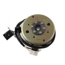 Volano con statore Garelli