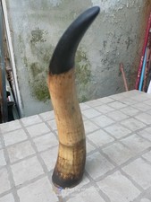 ANTICO CORNO BOVINO AUTENTICO