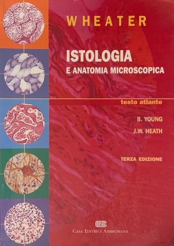 Istologia anatomia - istologia, e