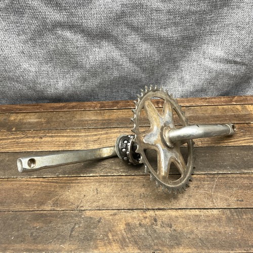 Guarnitura bici muscolare