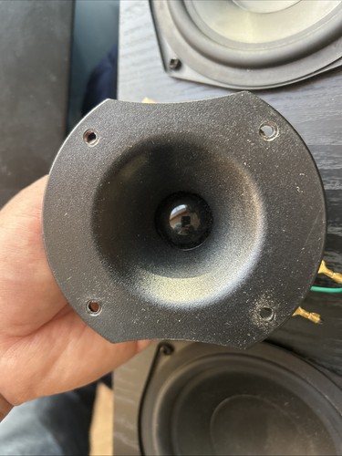 Klipsch horn tweeter - horn,