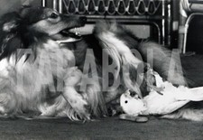 Foto vintage Regno Unito