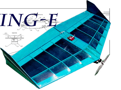 Wing sport per gws power - wing-e,