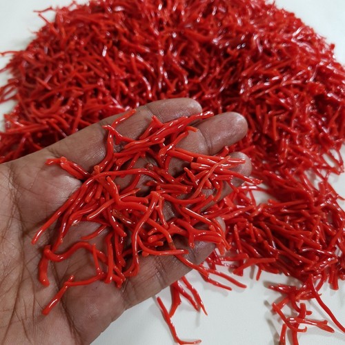 Ramo corallo rosso naturale - ramo,