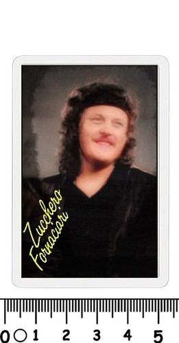 Calamita cantante famoso - cantante,