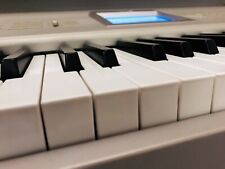 KORG TRITON STUDIO 88 TASTI PESATI + MANUALI + FLIGHT CASE