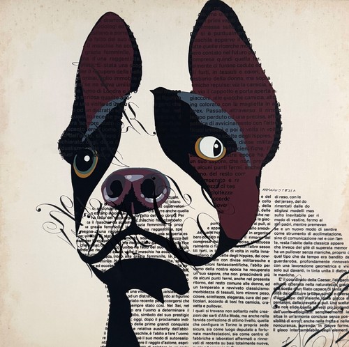 Armando testa cane - armando, strabico