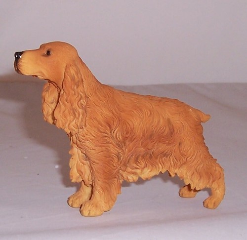 Best breed cocker spaniel - -,