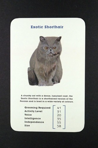 Card top trumps of - top,