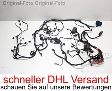 cablaggio imbracatura vano