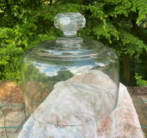 Vielle cloche fromage en - vielle,