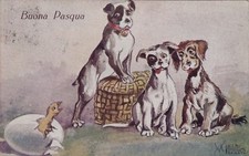 # AUGURALI: BUONA PASQUA -