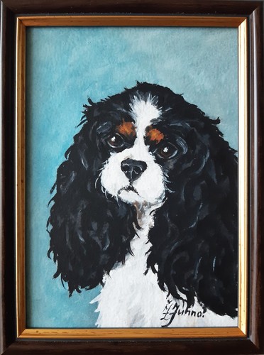 Cavalier king charles - cavalier,
