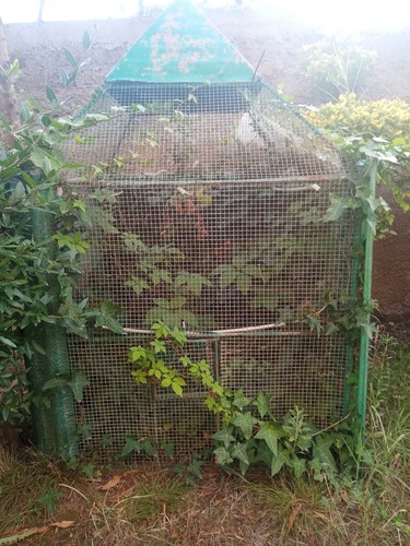 Gabbia voliera per - gabbia, grandi