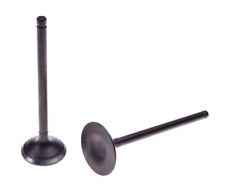 Valvole scarico + ingresso per