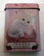 Lion Cat Pills Empty Tin Box
