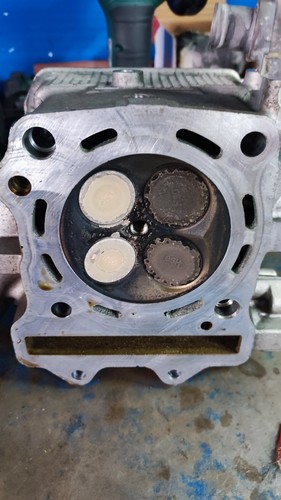 Testata completa suzuki - testata,