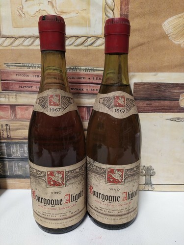 Vino 1967 bourgogne aligote - 1x,
