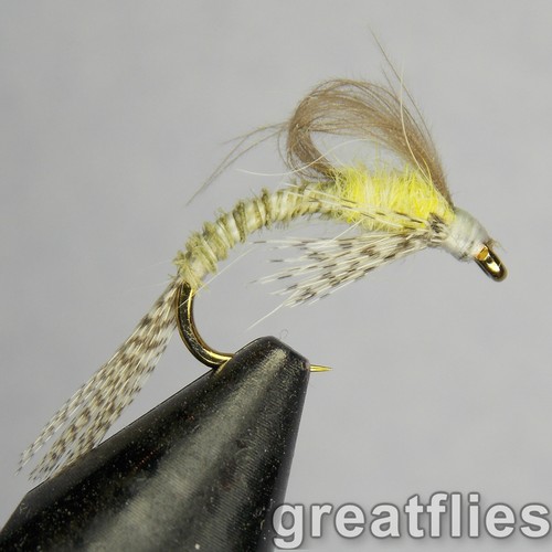 Dozzina cdc loop - (12), wing