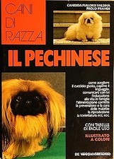 Il Pechinese Pialorsi Falsina, Candida and Prandi, Paolo