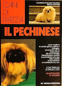 Pechinese pialorsi falsina - pechinese,