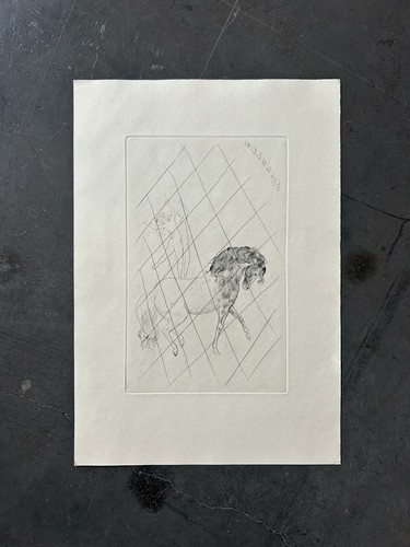 Incisione pablo picasso - pablo,