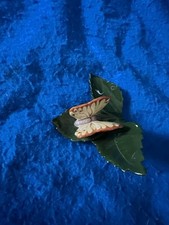 Statuina porcellana Herend