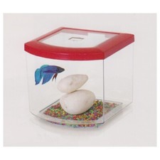 Acquario BettaCub Aquatlantis