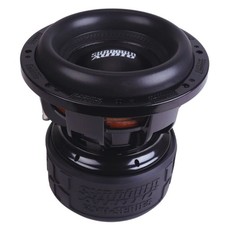 Subwoofer audio auto doppia