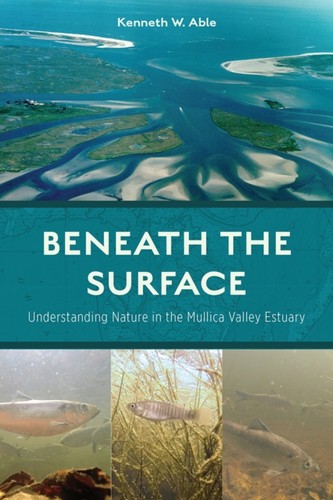 Beneath the surface - beneath,