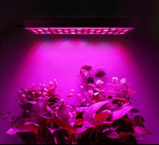 45w FULL SPECTRUM INDOOR PLANT