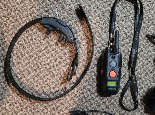 Dogtra arc professional - professional, 3/4