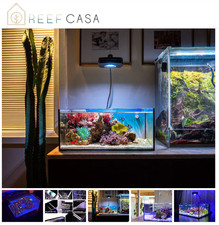 [NEW] Reef Casa Pico AIO Glass