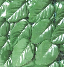 Siepe Artificiale Lauro Plus