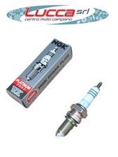 2872 Candela NGK Platinum