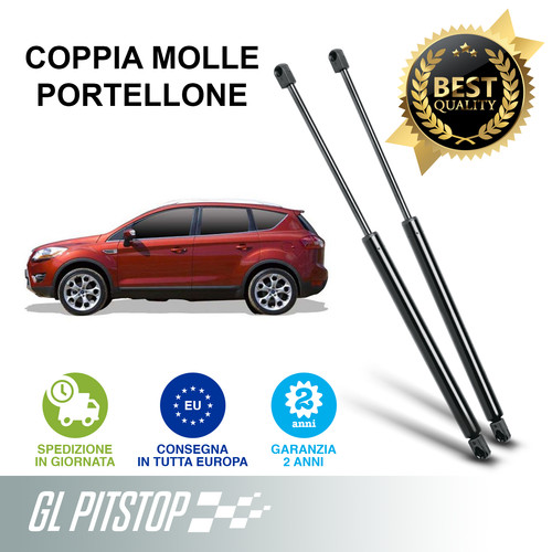 Pistoni portellone - pistoni,