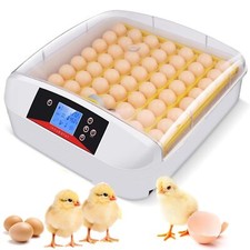 Incubatrice automatica per