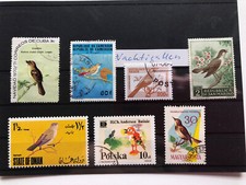 Collezione motivi uccellini