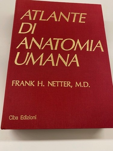Atlante anatomia umana - anatomia,