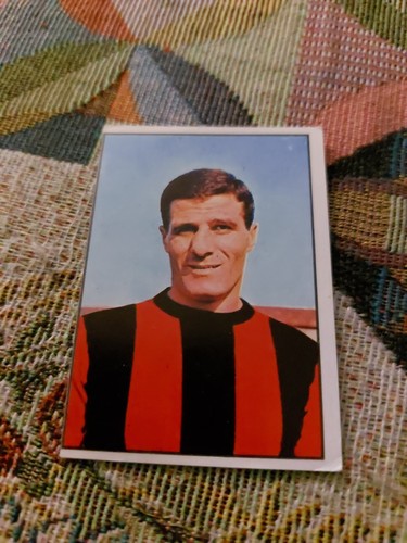 Figurina panini calciatori - figurina,
