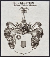 Gerstein In Schwaben Stemma Coat Of Arms Nobiltà Incisione In Rame Araldica 1820